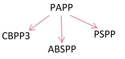 ECB PAPP sastāvdaļas