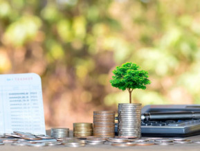 Par ārvalstu tiešajām investīcijām