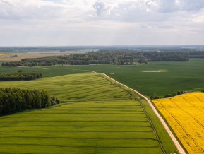 Ilustratīvs attēls Latvijas lauki