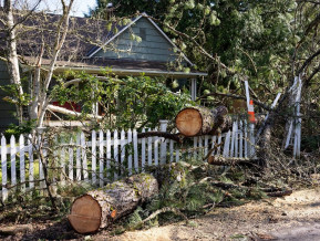 Ilustratīvs attēls: koks uzkritis mājai - dabas katastrofas atainojums
