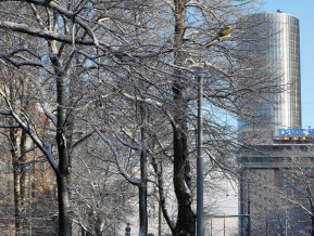 Komerciālo nekustamo īpašumu tirgus vērtības kāpumi un kritumi